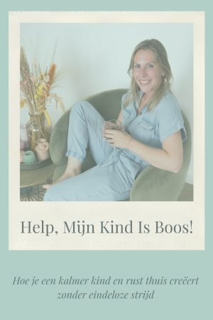 Ebook Help, Mijn Kind Is Boos!